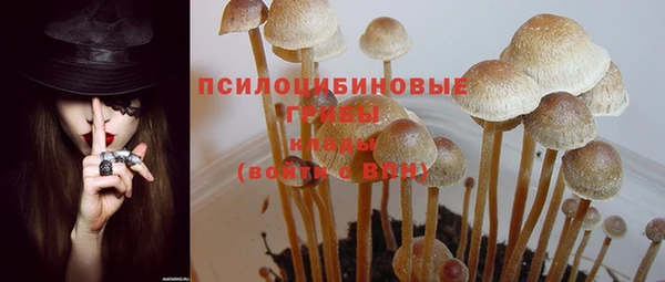 амф Алексеевка