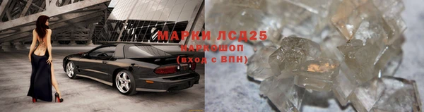 индика Арсеньев