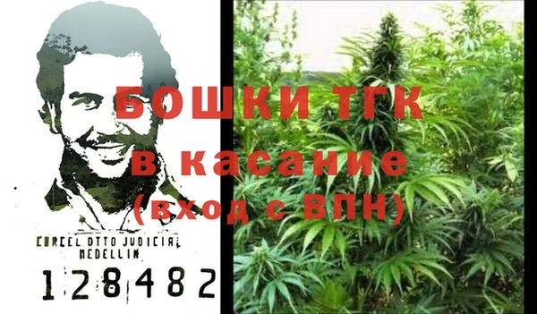 индика Арсеньев