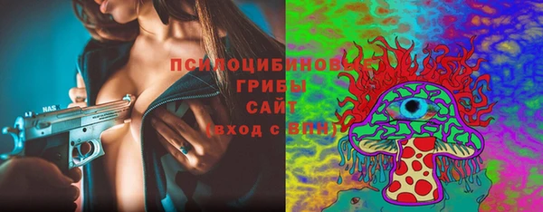 spice Аркадак