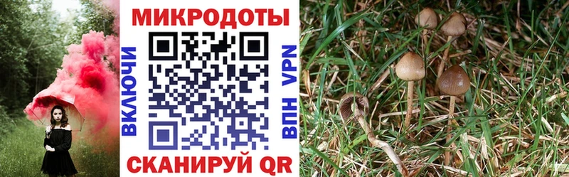 Псилоцибиновые грибы ЛСД Баксан