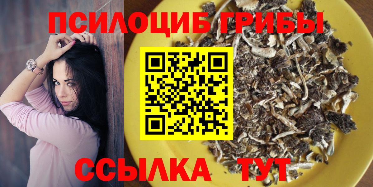 Галлюциногенные грибы GOLDEN TEACHER  Вход с VPN  Галлюциногенные грибы Psilocybine cubensis  Баксан 