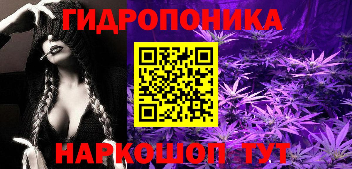 Бошки марихуана OG Kush  Вход с VPN  Баксан  Марихуана сатива 